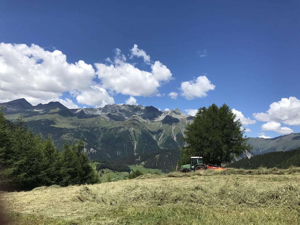 Apart Bauernhof ,,Becka Hof'' Hintertux Ngoại thất bức ảnh